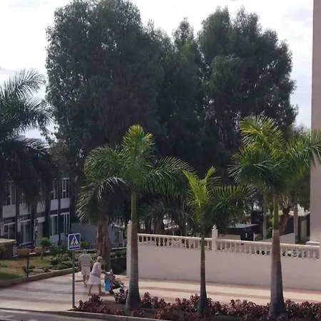 Crisol Del Sur Arona (Tenerife)